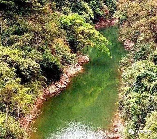 救援七星瓢虫